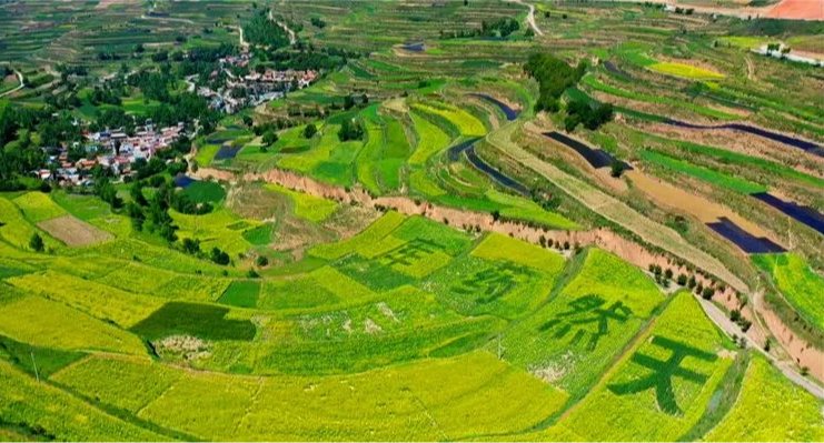 實干篤行勇擔當 善作善成開新局——甘肅金控融資擔保集團股份有限公司成立五周年發展紀實